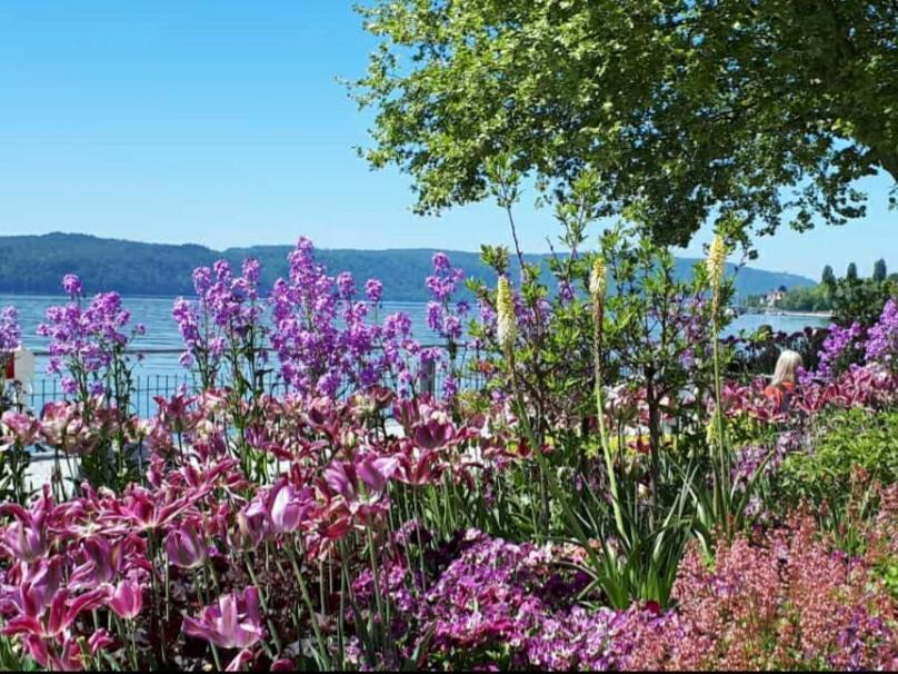 Lakeview Penthouse Meersburg Exterior photo